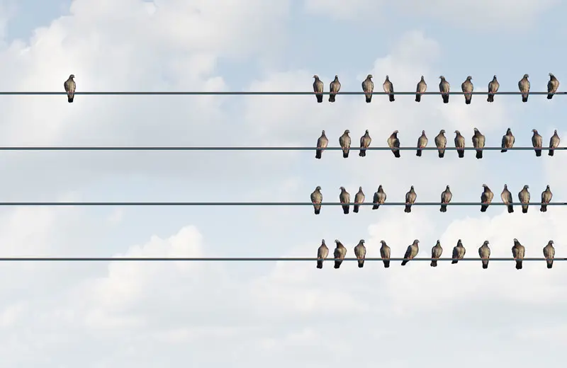 Insights Resistitchswitch Thumbnail