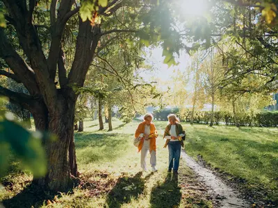 Harvard research reveals the #1 key to living longer and happier
